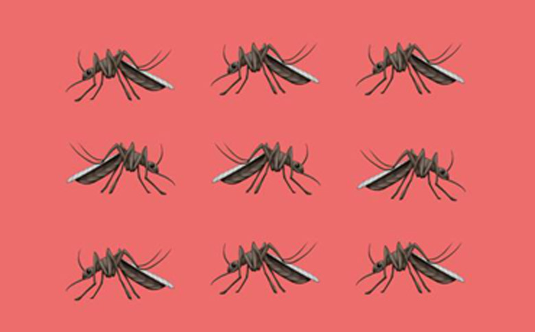 Por que há um mosquito na lista de emojis de 2018
